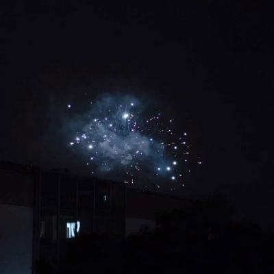 3月25日沪深两市涨停分析：华电辽能8连板，中利集团4连板